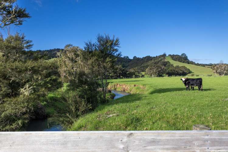 719 Waikare Road Kawakawa_35