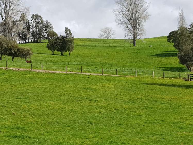 7045 State Highway 1 Pakaraka_23