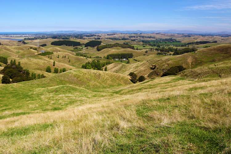 754 Puketitiri Road Puketapu_6