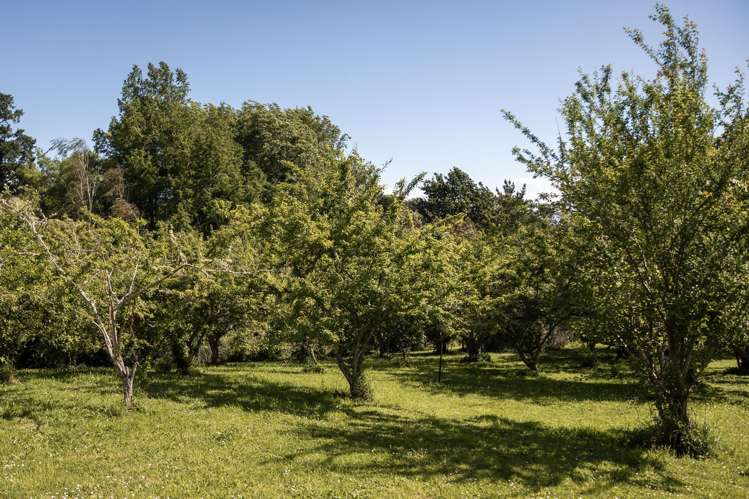 22A Ngati Maru Highway Kopu_16