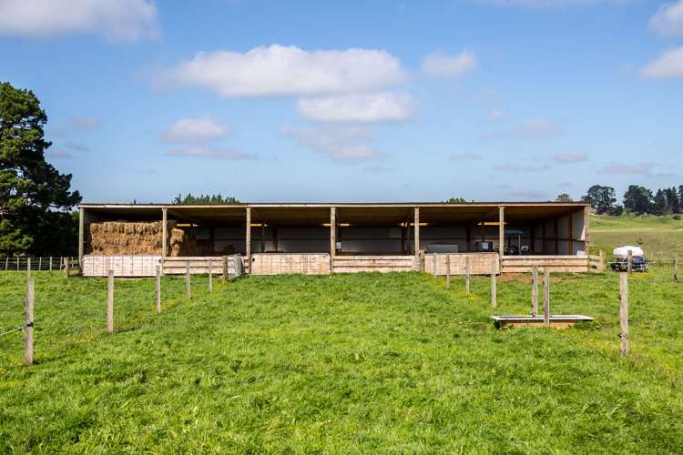 200 Garfield Road Norsewood_16