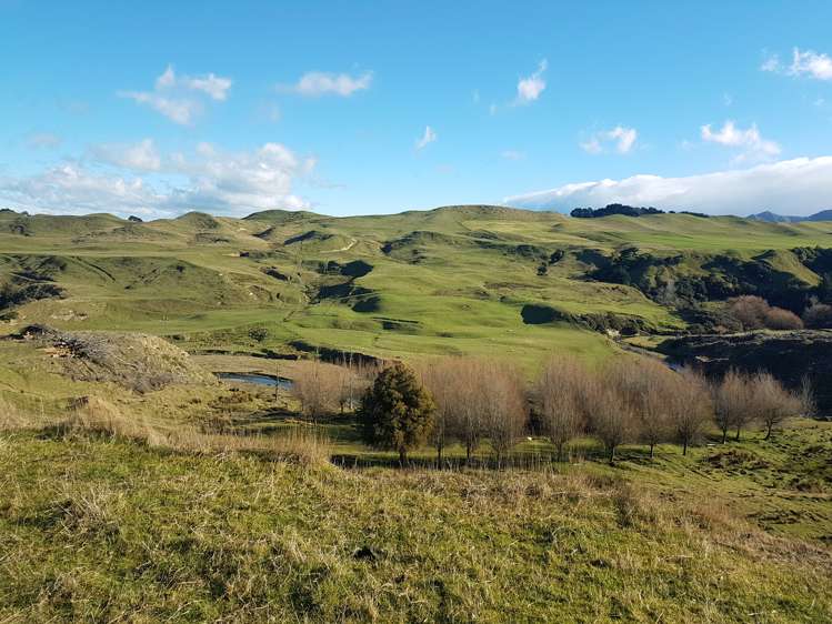 76064 State Highway 2 Rangitikei Surrounds_21