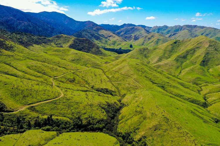 412 Tamaki West Road Dannevirke_15