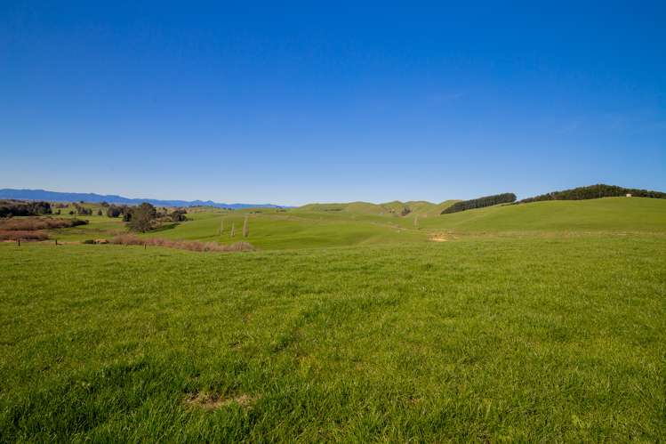 3629 State Highway 2 and Coxhead Road Mangatarata_10