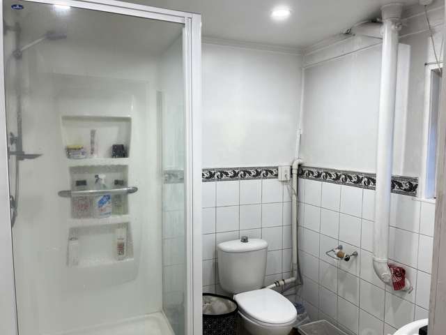 lower flat/218 Hillsborough Road Hillsborough_4