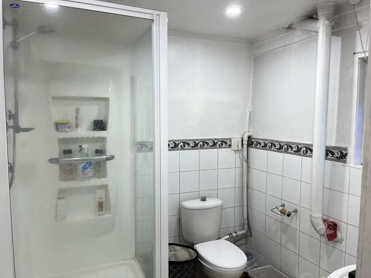 lower flat/218 Hillsborough Road Hillsborough_4