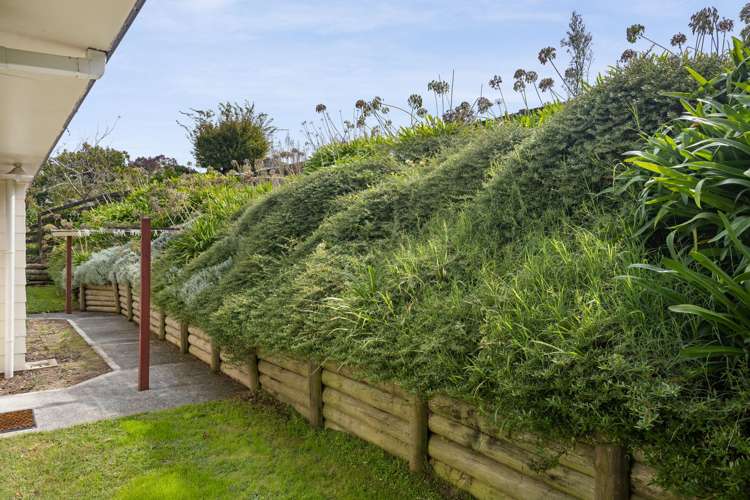 2/70 Taylor Avenue Te Awamutu_23