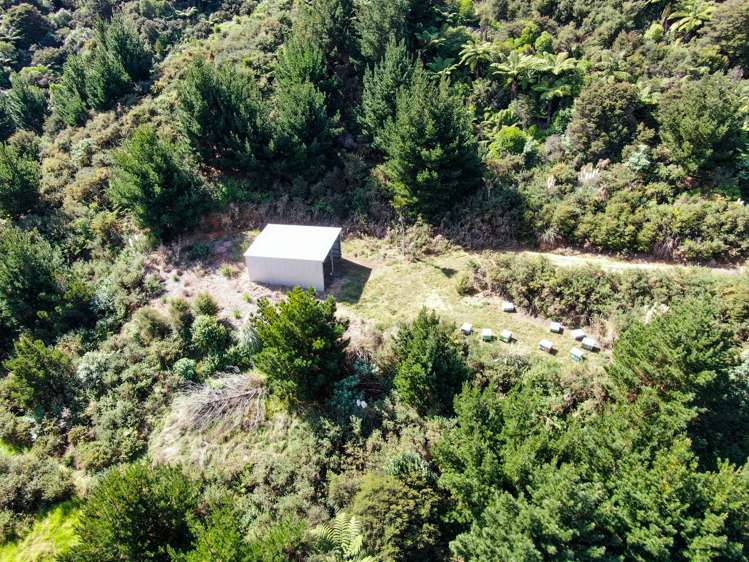 427 Bennett Road Te Mata_5