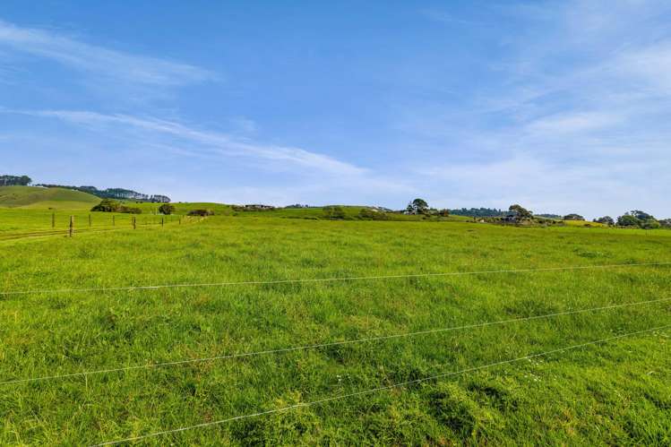 78a Waitoetoe Road Mimi_16