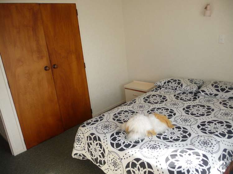 3/124 Arapuni Street Putaruru_6