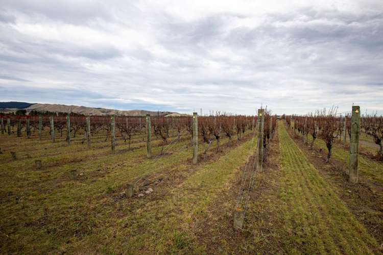 782 Glasnevin Road Waipara_1