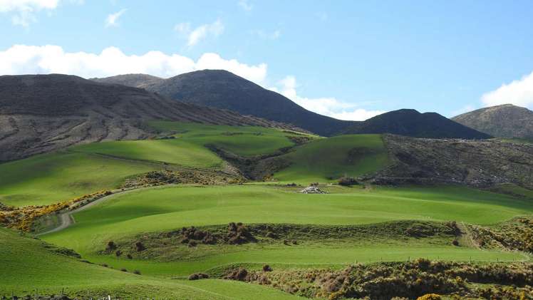 972 Slopedown Road Catlins Surrounds_13