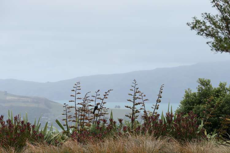 194 Okains Bay Road Akaroa_37