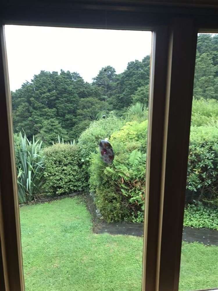 29b School Road Karangahake_4