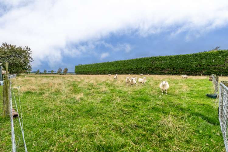 50 Myross Road Myross Bush_18