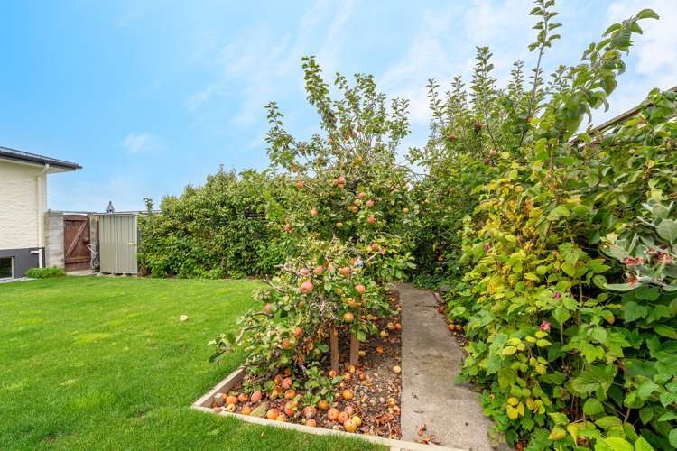 48 Mountain View Road Glenwood_20