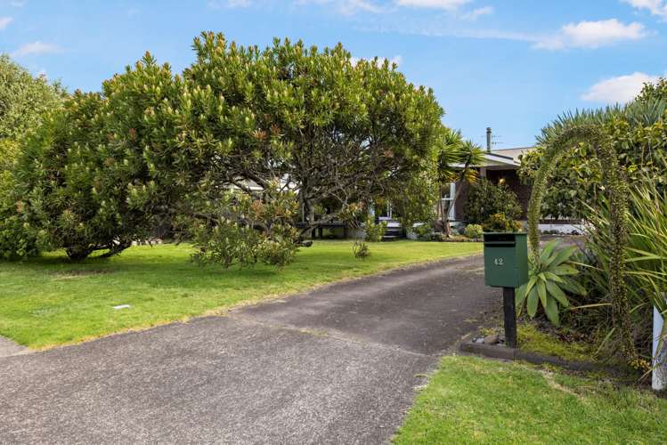 42 Oceanbeach Road Mount Maunganui_17