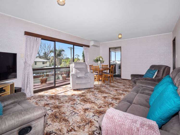 18a Esk Street Parkvale_2