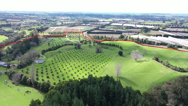 State highway 33 Paengaroa_1