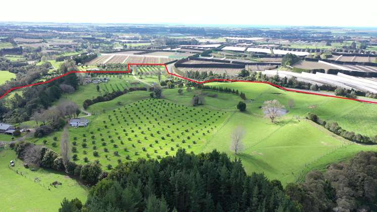 State highway 33 Paengaroa_1