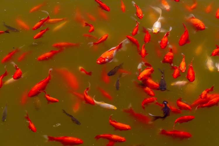 1c Lane Street Islington_25