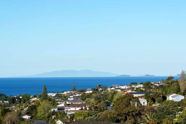 7A Elizabeth Place Mairangi Bay_2