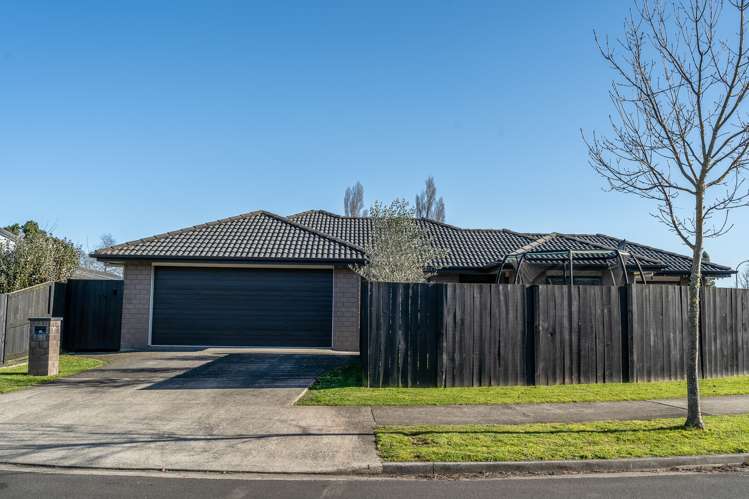 31 Tupelo Street Pukete_15