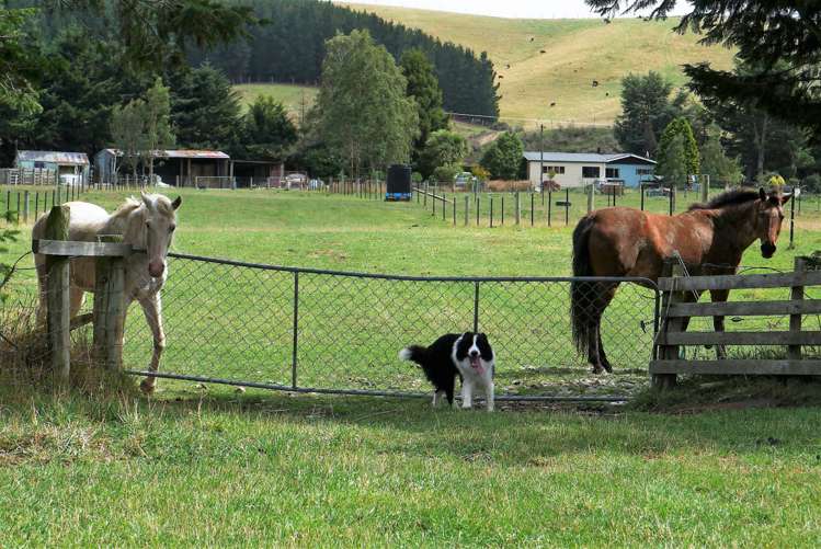 460 Palmerston-Dunback Road Palmerston_14