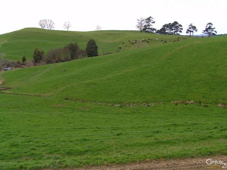 159 Bonner Road Otorohanga_13