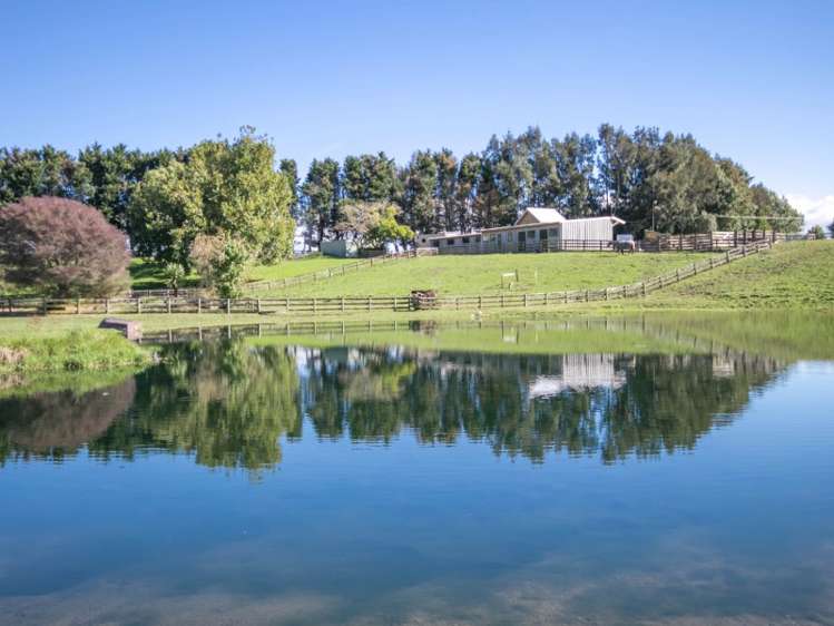 95 Webster Road Tirau_8