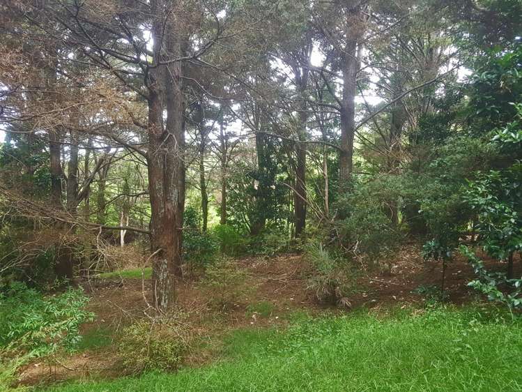 107 Jumna Road Maungaturoto_18