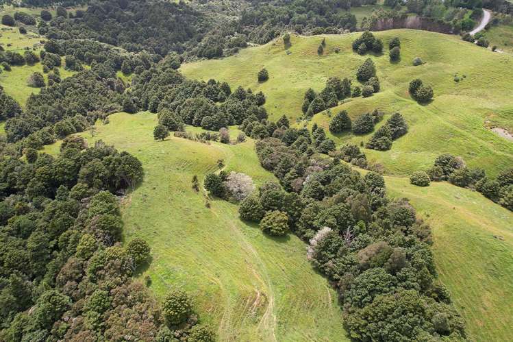 Lot 2/347 Porter Road Paparoa_16