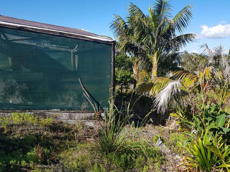 64c Hokianga Road Dargaville_5