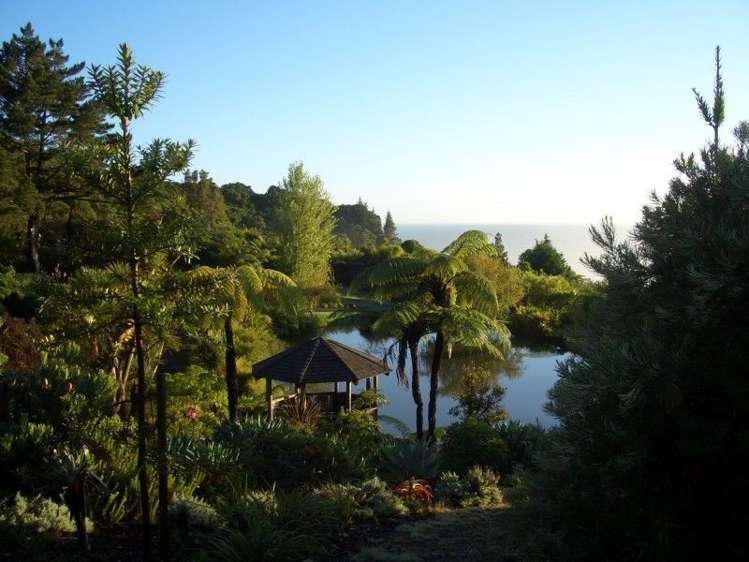 205 Pumpkin Hill Road Pumpkin Hill_12