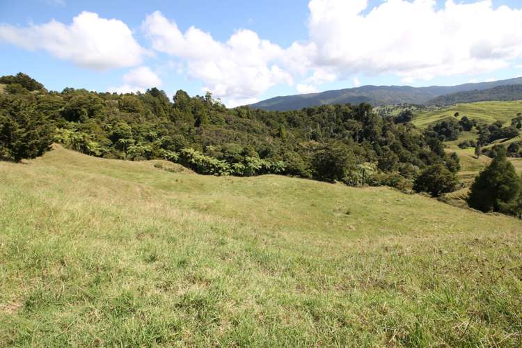 109 Paponga Road Broadwood_10