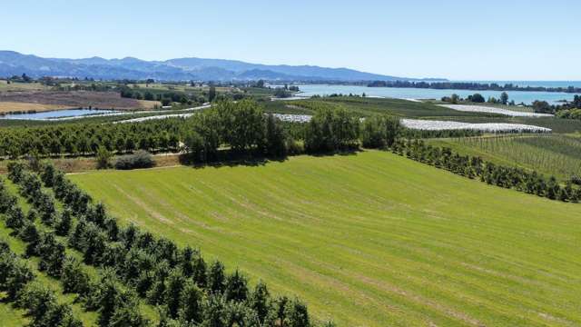 Lot 1/86 Eden Road Tasman_4