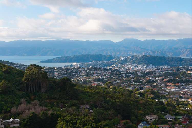 32 Alanbrooke Place & 71 Cornford Street Karori_7