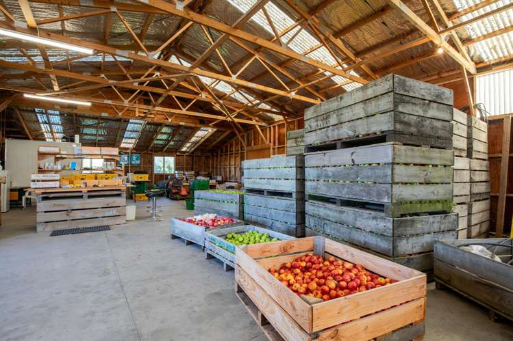 402 Dixons Road Loburn_19