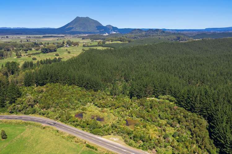 2805 State Highway 30 Rotoma_12