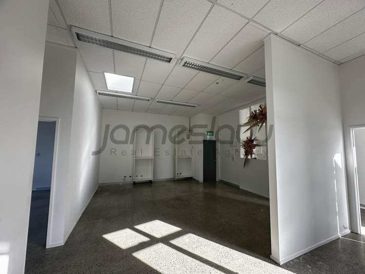 483 Richmond Road Grey Lynn_4