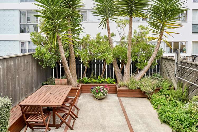 63 Brougham Street Mount Victoria_14