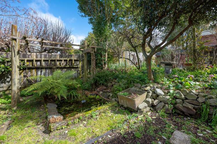 1/35 Tamatea Road Central_22