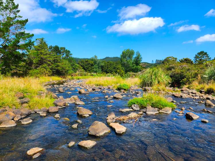 137 Opouteke Road Dargaville Surrounds_2