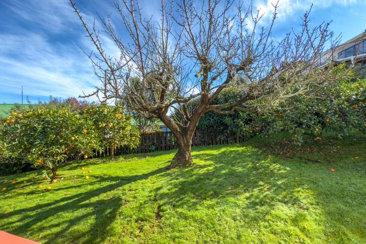 306 Marshall Crescent Thames_19