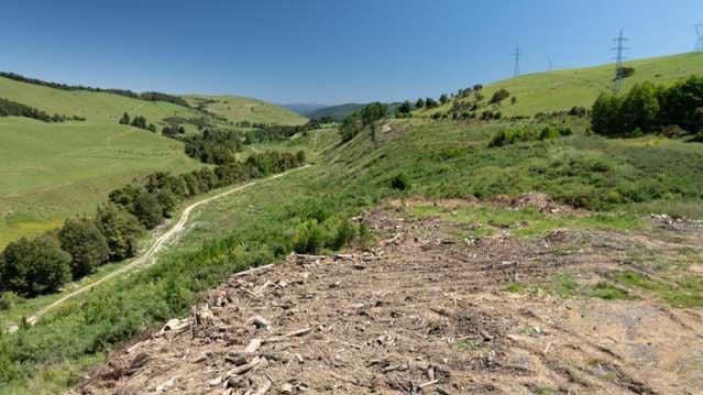 Korere Tophouse Road Kikiwa_1