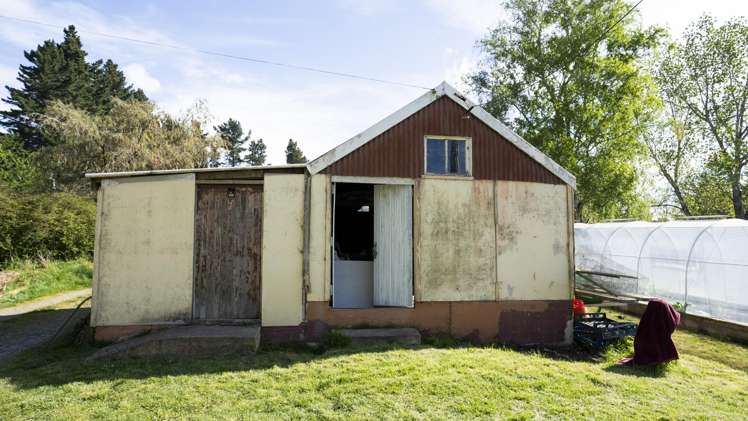 42 Falcon Street Palmerston_16