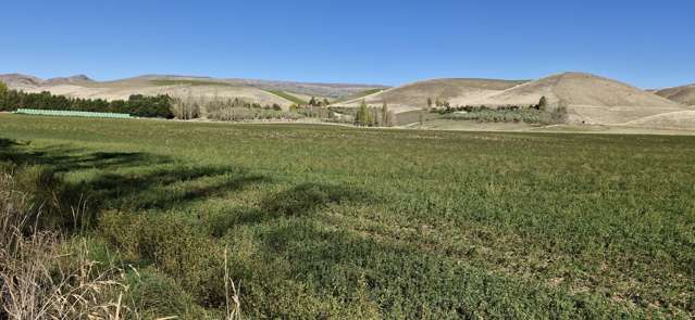 69 Thomson Gorge Road Tarras_1