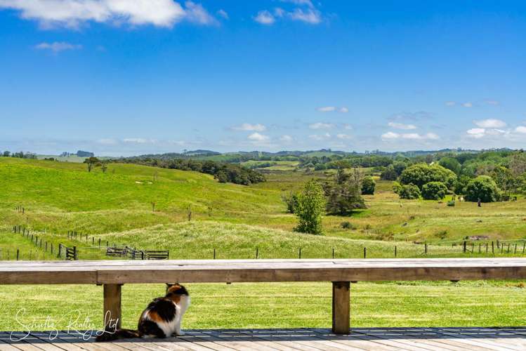 Lot 10/306 Oneriri Road Kaiwaka_26