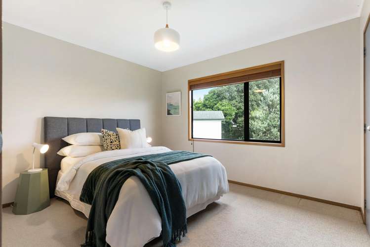 12B Cradock Street Avondale_12