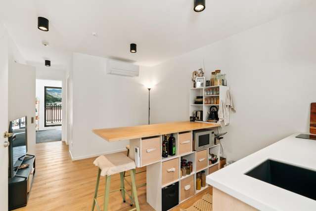 Unit 2, The Alex Apartments, 135 Hallenstein Street Queenstown_3